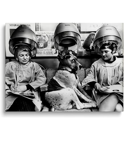 Amazon.com: Piercing A Girl Has To Accessorize! Vintage Style